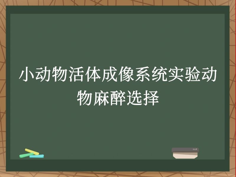 小动物活体成像系统实验动物麻醉选择